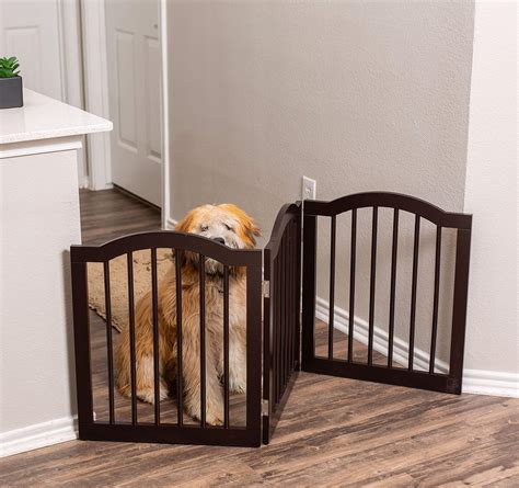 The Magic Gate for Dogs: A Contemporary Solution for Pet Owners